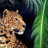 ferdous_khan_009