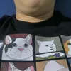 _conquydangtrach