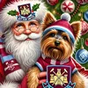 kellywestham
