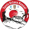 turrisoctavakennel