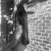_mmeeerii