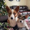 michelle_moorhead