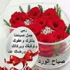 aminemouna1234