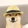 witeksu