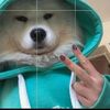 thisisspiraxx