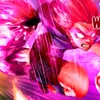 master__fan__edits