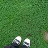 cookie_b11
