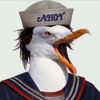 stevegul1