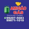 amigaogas6