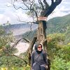 tntrinr