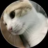 nltbcuti