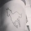 gyovanarneves