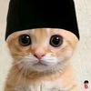 user4553456_