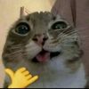 ilovemalcomtawd
