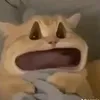dyl7l64mjyl5