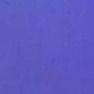 aisha_alshrasy
