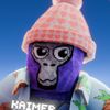🖥️kaimerGT🎥