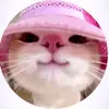 dyvvgics15je