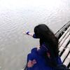 iyed_231