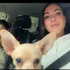 jigglywiggly121