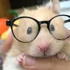 hauwiiii_01