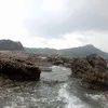 anhdung.6