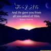 sir_majid8