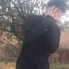 wili_961