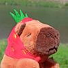 sunnie_capybara