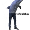 lcdolphinlc