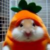 p.pear._245