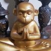 themonkeybuddha