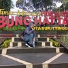 bogenfilflower