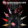 romano_koi_farm3