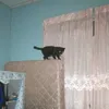 justanormalhumanlol15