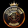 ctcs4_bf_bandung