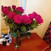 darya.8813