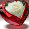 adnankhan8713gmail.com1