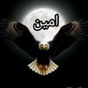 aminemil855