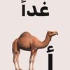 user86180206623555