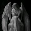 bustle_gfd