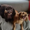 charlie_5123_2