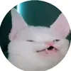 creebot0078