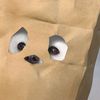 evanurr6