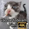 tonyender