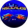 NSCICHLIDS✅