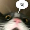 우왕