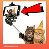 anonimatdf