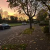 sophie_halton