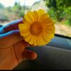 esraa.refai.12